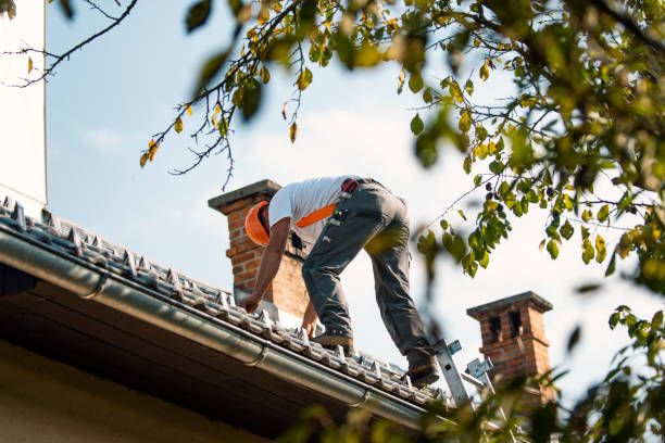 Best Commercial Roofing Services  in Versailles, IN