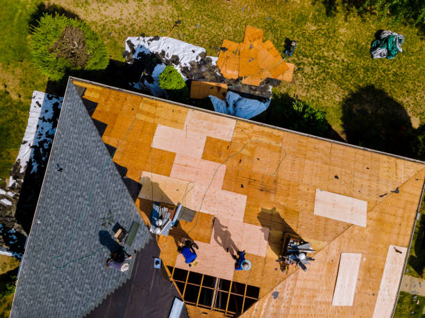 Best Metal Roofing Contractor  in Versailles, IN