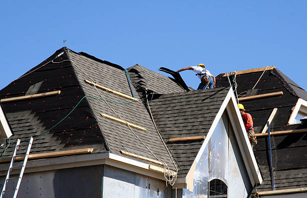 Best Roof Repair Services  in Versailles, IN