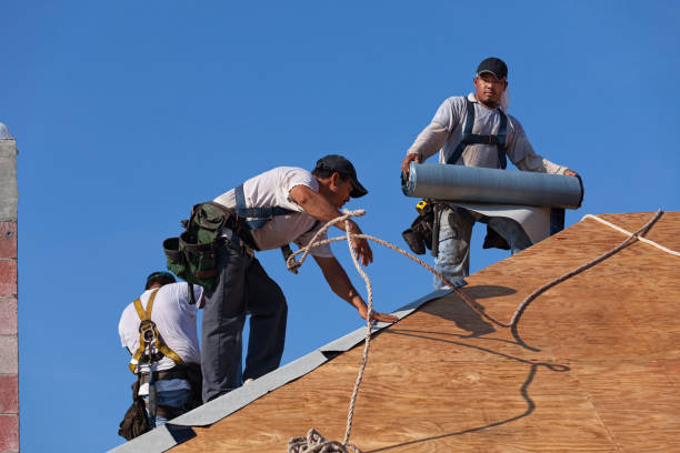 Best New Roof Installation  in Versailles, IN
