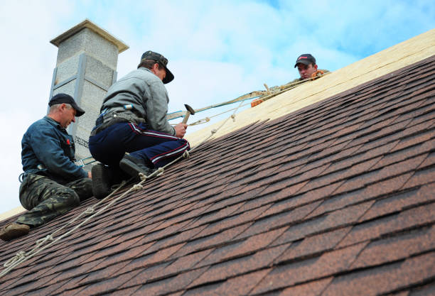 Best Emergency Roof Repair  in Versailles, IN